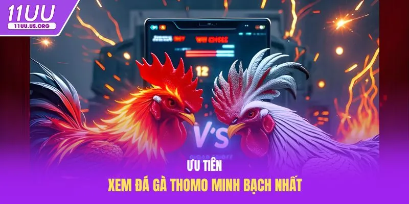 Ưu tiên xem đá gà Thomo minh bạch nhất